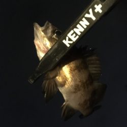 やっと風がおさまりました。