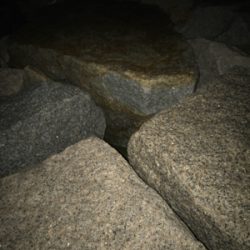 寒さに負けず！