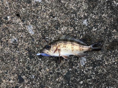 アーミーベイト  メバダートの鉛針。