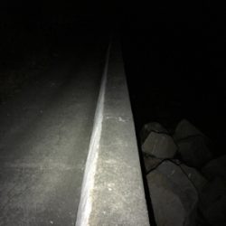 今シーズンのメバル狙い