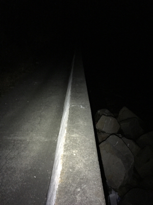 今シーズンのメバル狙い