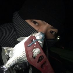 またまたアジング