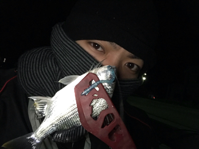 またまたアジング