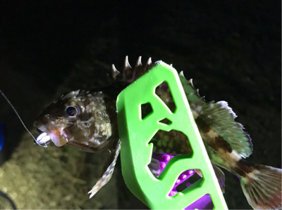 旦那の新しい竿振りに