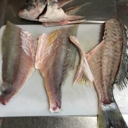 ちょっとだけよ