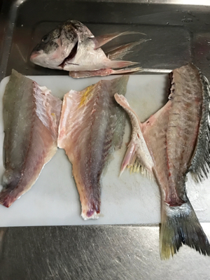 ちょっとだけよ