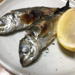 今年最後の釣行
