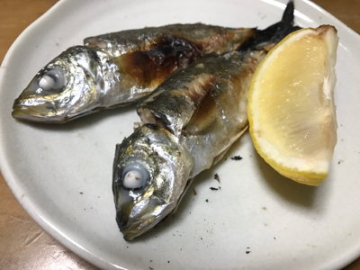 今年最後の釣行