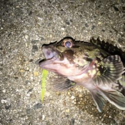 newエステルラインで！