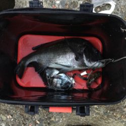 灘浜 3.4番間 フカセ