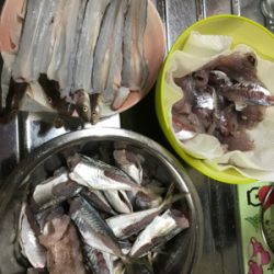 Xmasカレイならず…