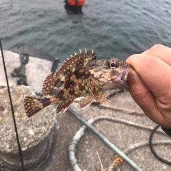 流離アジング 第2日目 昼 デイのが良い