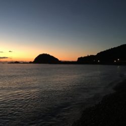 大里松原海岸 アオリイカ 1kg