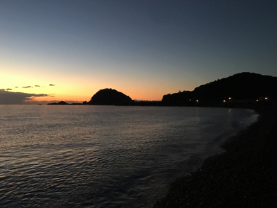 大里松原海岸 アオリイカ 1kg