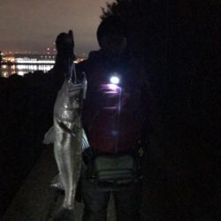 二人で釣ったシーバス