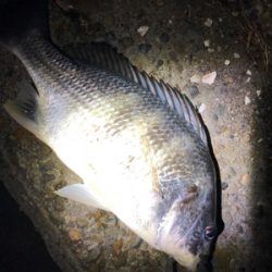 冬チニング開幕‼︎