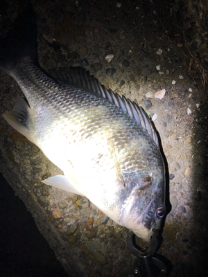 冬チニング開幕‼︎