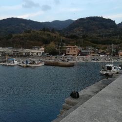 佐賀関アジング