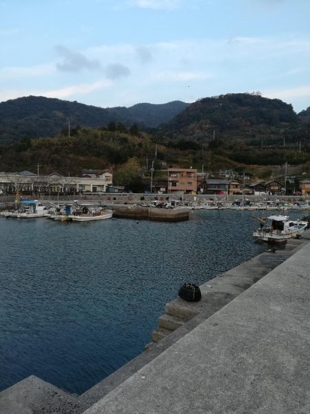 佐賀関アジング