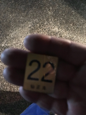 須磨沖の太刀魚