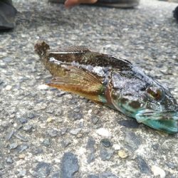 南房総トリップ