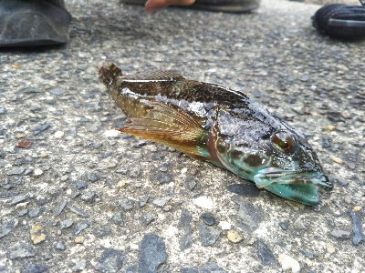 南房総トリップ