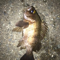 陽が落ちてから。