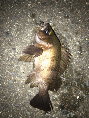 陽が落ちてから。