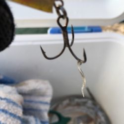 2017釣納め。良いお年を！