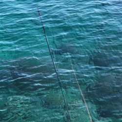 2017年の締めくくり