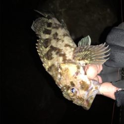 ガシララッシュ