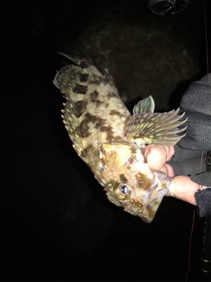 ガシララッシュ