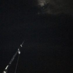 年内キロUP達成！