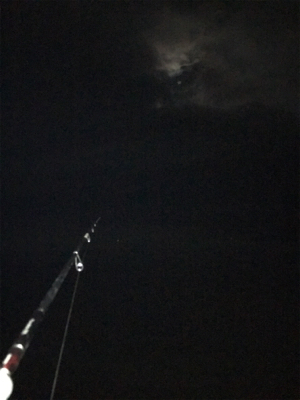 年内キロUP達成！