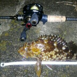 極寒のライトゲーム