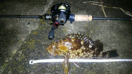 極寒のライトゲーム