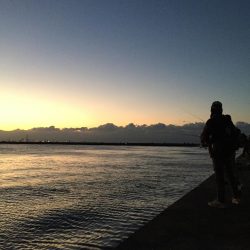 渋いけどまだパラパラ