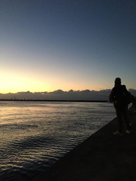 渋いけどまだパラパラ