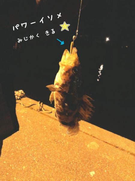 メバルくんを求めて…★