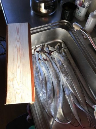 釣り納め。良型連発