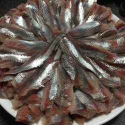 サビキで良型イワシ!!