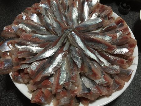 サビキで良型イワシ!!