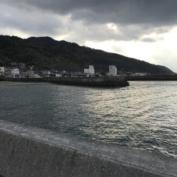 サビキでアジ釣り