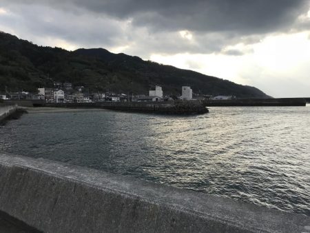 サビキでアジ釣り