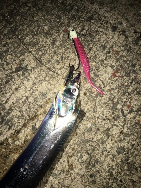 これがフラップ釣法の独壇場！！