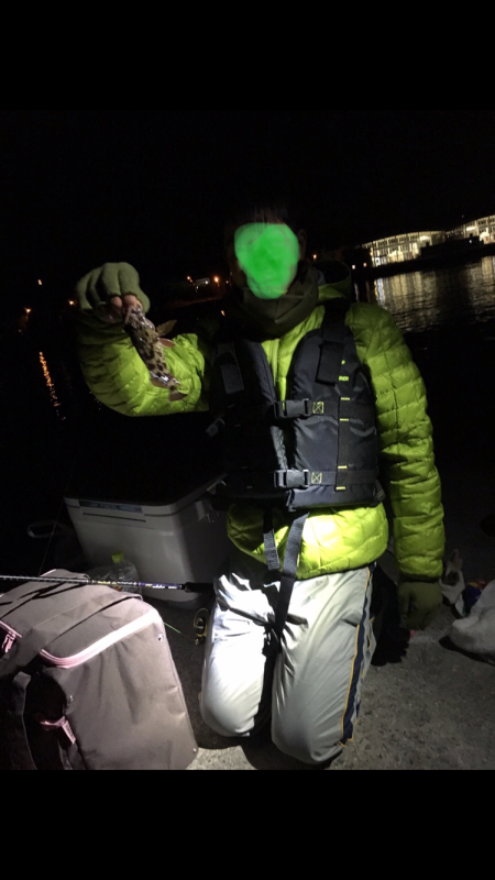 釣り納めにガシラ散策