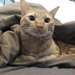 ワームで穴釣り