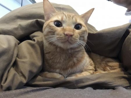 ワームで穴釣り