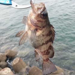 小春日和の穴釣り