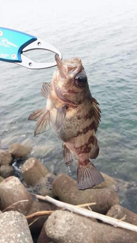 小春日和の穴釣り